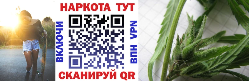 Альфа ПВП Покачи
