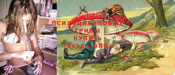 прущий лед Осинники