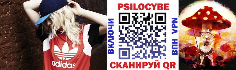 Галлюциногенные грибы Psilocybine cubensis  Покачи 